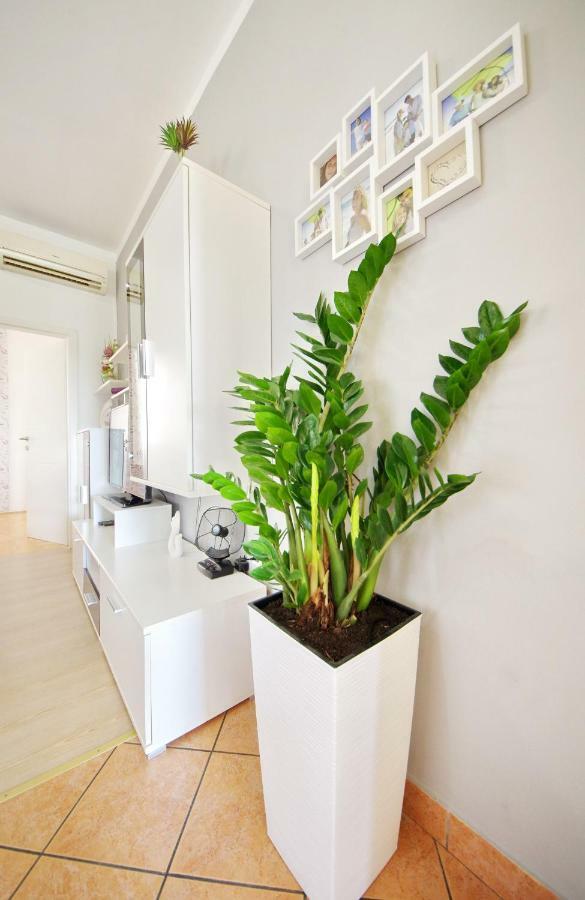 Apartment Paulin Zadar Exterior foto